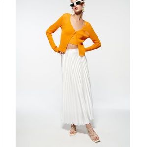 Zara Pleated Skirt